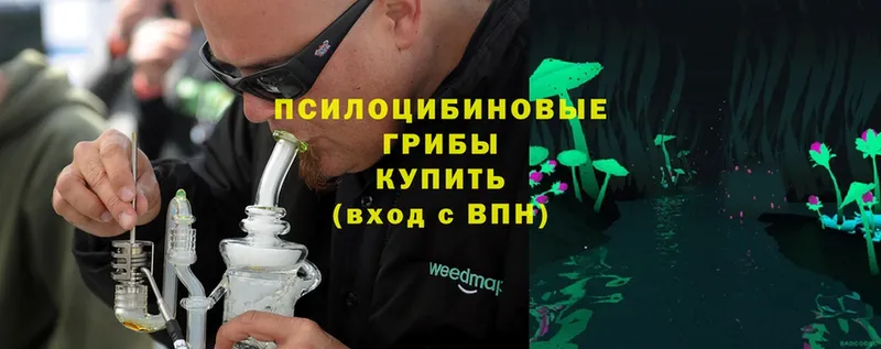 Псилоцибиновые грибы GOLDEN TEACHER Слюдянка